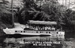 The duck at Little Niagara Falls Postcard