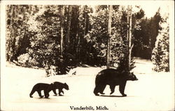 Three Bears Postcard