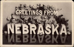 Greetings From Nebraska Postcard