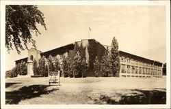 Large School Postcard