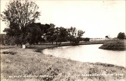 Beaver Meadow Park Parkersburg, IA Postcard Postcard