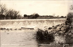 Beaver Meadow Dam Parkersburg, IA Postcard Postcard