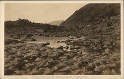 Star Lake on Mt. Madison & Mt. Washington Postcard