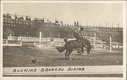 Bucking Bronco Riding Postcard