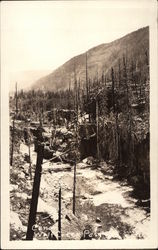 Canon, Wolf Creek Pass Pagosa Springs, CO Postcard Postcard