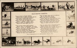 Rodeo Scenes Postcard