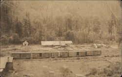 Northern Pacific Lumber Train Postcard