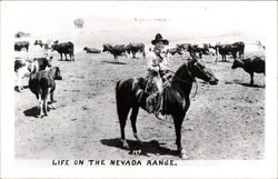 Life on the Nevada Range Postcard