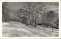 Greenough Drive Missoula, MT Postcard Postcard