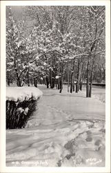 Greenough Park -Winter Scene Missoula, MT Postcard Postcard