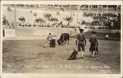 National Sport of Mexico - A Bull Fight Postcard