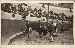 Bull Fight in Plaza de Toros Postcard