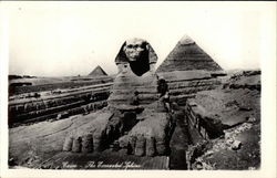 The Excavated Sphinx Cairo, Egypt Africa Postcard Postcard