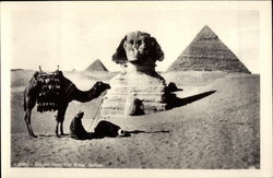 Prayer Near the Great Sphinx Cairo, Egypt Africa Postcard Postcard