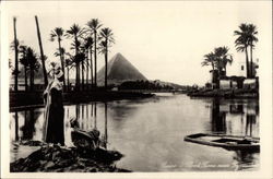 Flood Time near Pyramids Cairo, Egypt Africa Postcard Postcard