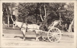 A Caloched Quebec Canada Postcard Postcard