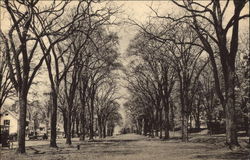 The Two-Century Old Green In Spring Sharon, CT Postcard Postcard