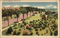 Western Promenade Portland, ME Postcard Postcard