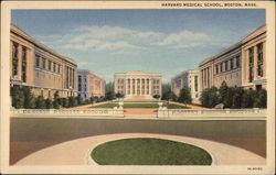 Harvard Medical School Postcard