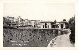 Pergola and Ducks, Lake Merritt Oakland, CA Postcard Postcard