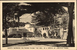 Santa Barbara Biltmore Faces the Sea California Postcard Postcard