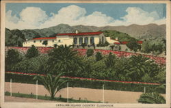 Catalina Island Country Clubhouse Postcard