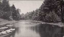 The Pond - Stanley Park Postcard