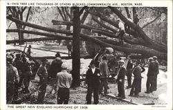 The Great New England Hurricane of 1938 Boston, MA Postcard Postcard