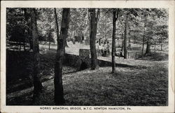 Norris Memorial Bridge M.T.C Postcard