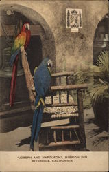 Joseph and Napoleon - Parrots at Mission Inn Riverside, CA Postcard Postcard