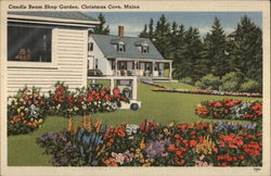 Candle Beam Shop Garden Postcard