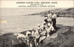 Audubon Nature Camp Medomak, ME Postcard Postcard