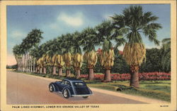 Palm Lined Highway, Lower Rio Grande Valley Texas Postcard Postcard