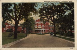 Michigan State Hospital Postcard