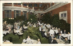 Tropical Garden at The Nueces Hotel Corpus Christi, TX Postcard Postcard