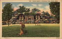 Giraffe Exhibit at Zoological Park Postcard