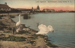 Lake Agawam Southampton, NY Postcard Postcard