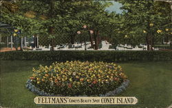 Feltman's Coney Island, NY Postcard Postcard