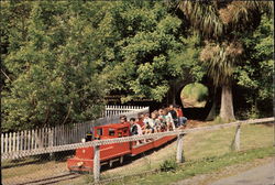 Kowhai Park, Wanganui East Postcard