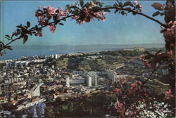 Place des Martyrs Postcard