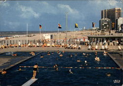 View of Beach and Swimming Pool Postcard