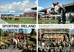 Sporting Ireland: Irish Hospitals' Sweeps and Sweeps Derby Postcard Postcard