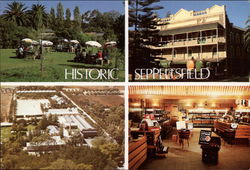 Various Views of Town Seppeltsfield, Australia Postcard Postcard