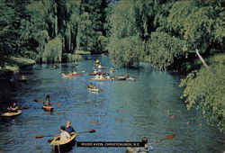 River Avon Christchurch, New Zealand Postcard Postcard