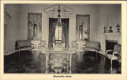 Monticello - Salon Charlottesville, VA Postcard Postcard