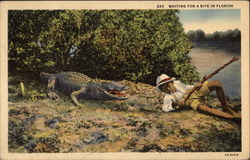 Waiting For A Bite in Florida Postcard