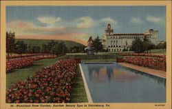 Municipal Rose Garden Postcard