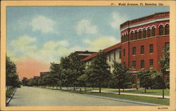 Wold Avenue Postcard