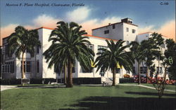 Morton F. Plant Hospital Clearwater, FL Postcard Postcard