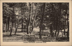 Picnic Grounds Postcard